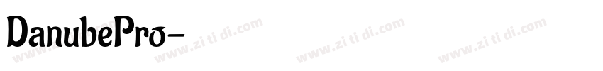 DanubePro字体转换