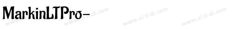 MarkinLTPro字体转换