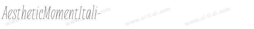 AestheticMomentItali字体转换