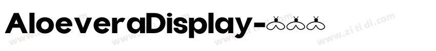 AloeveraDisplay字体转换