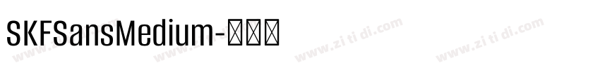 SKFSansMedium字体转换