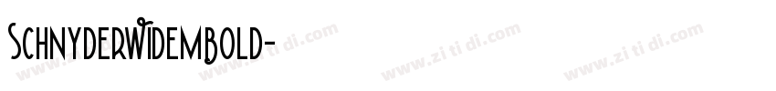 SchnyderWideMBold字体转换
