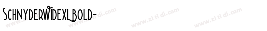 SchnyderWideXLBold字体转换