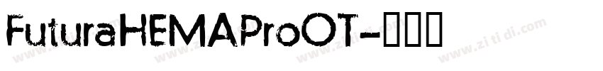 FuturaHEMAProOT字体转换