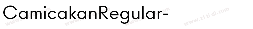CamicakanRegular字体转换