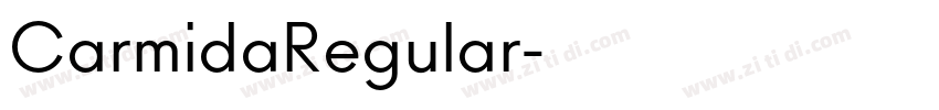 CarmidaRegular字体转换