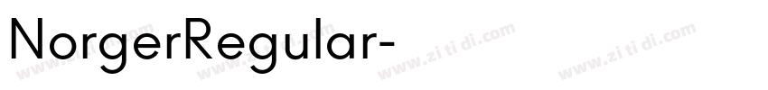 NorgerRegular字体转换