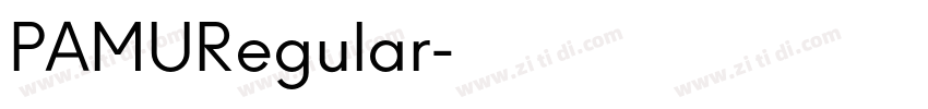 PAMURegular字体转换