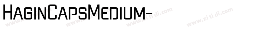 HaginCapsMedium字体转换 HaginCapsMedium字体转换