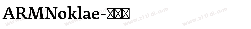 ARMNoklae字体转换