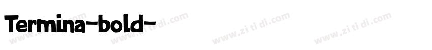 Termina-bold字体转换