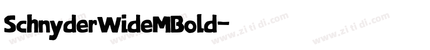SchnyderWideMBold字体转换