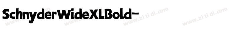 SchnyderWideXLBold字体转换