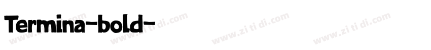Termina-bold字体转换
