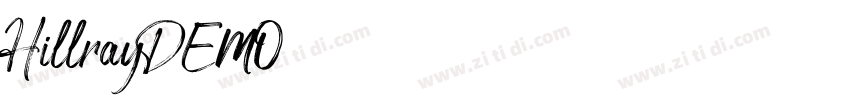 HillrayDEMO字体转换