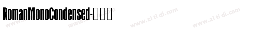 RomanMonoCondensed字体转换