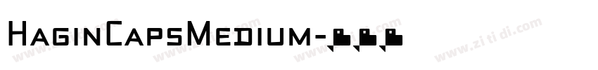 HaginCapsMedium字体转换 HaginCapsMedium字体转换