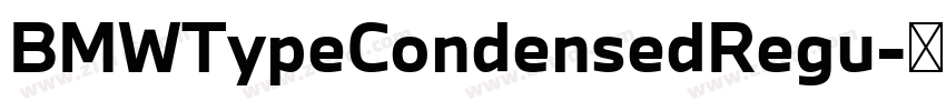 BMWTypeCondensedRegu字体转换 BMWTypeCondensedRegu字体转换