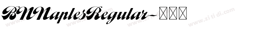 BNNaplesRegular字体转换