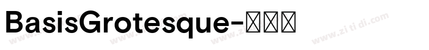 BasisGrotesque字体转换 BasisGrotesque字体转换