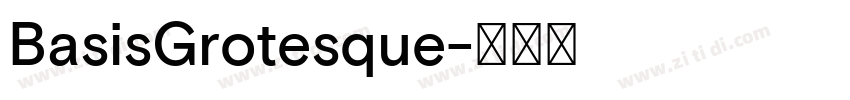BasisGrotesque字体转换 BasisGrotesque字体转换