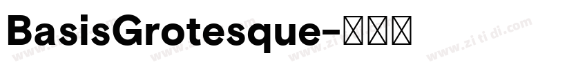 BasisGrotesque字体转换 BasisGrotesque字体转换