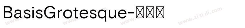 BasisGrotesque字体转换 BasisGrotesque字体转换