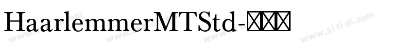 HaarlemmerMTStd字体转换