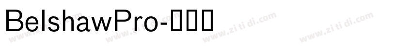 BelshawPro字体转换