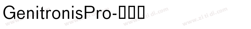 GenitronisPro字体转换