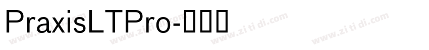 PraxisLTPro字体转换