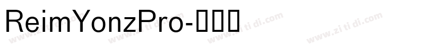 ReimYonzPro字体转换