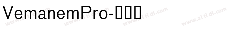 VemanemPro字体转换