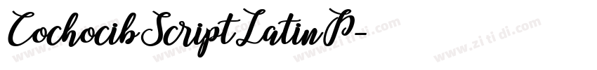 CochocibScriptLatinP字体转换
