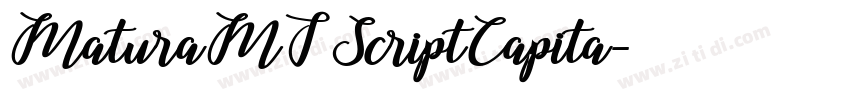 MaturaMTScriptCapita字体转换 MaturaMTScriptCapita字体转换