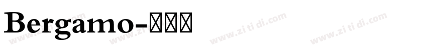 Bergamo字体转换