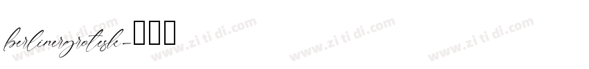 berlinergrotesk字体转换