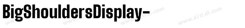 BigShouldersDisplay字体转换