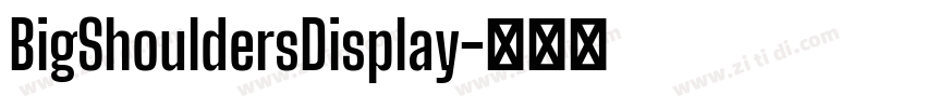 BigShouldersDisplay字体转换