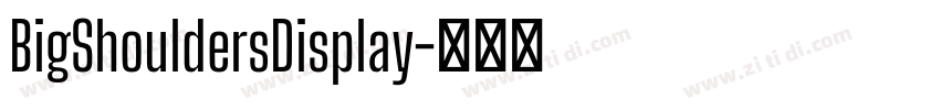 BigShouldersDisplay字体转换