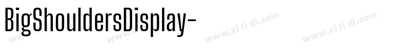 BigShouldersDisplay字体转换