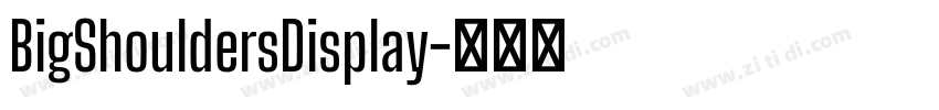 BigShouldersDisplay字体转换