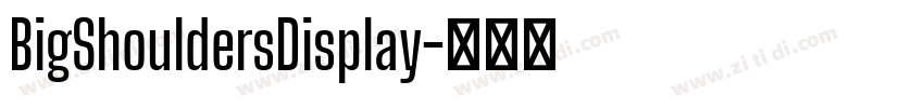 BigShouldersDisplay字体转换