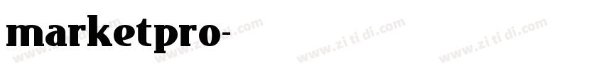 marketpro字体转换