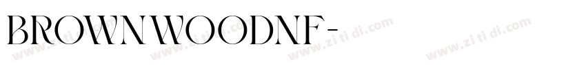 BrownwoodNF字体转换