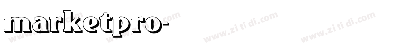 marketpro字体转换