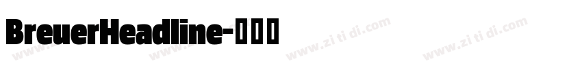BreuerHeadline字体转换