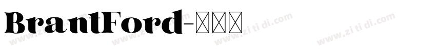 BrantFord字体转换
