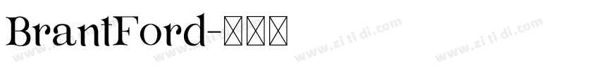 BrantFord字体转换