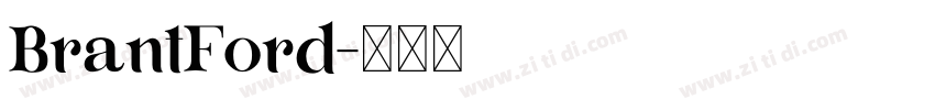BrantFord字体转换